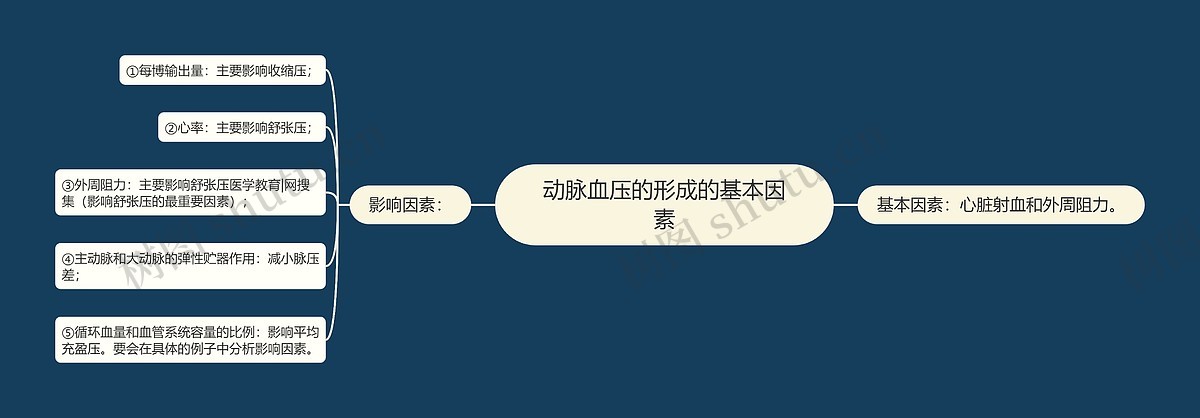 动脉血压的形成的基本因素思维导图_编号p7565354-TreeMind树图