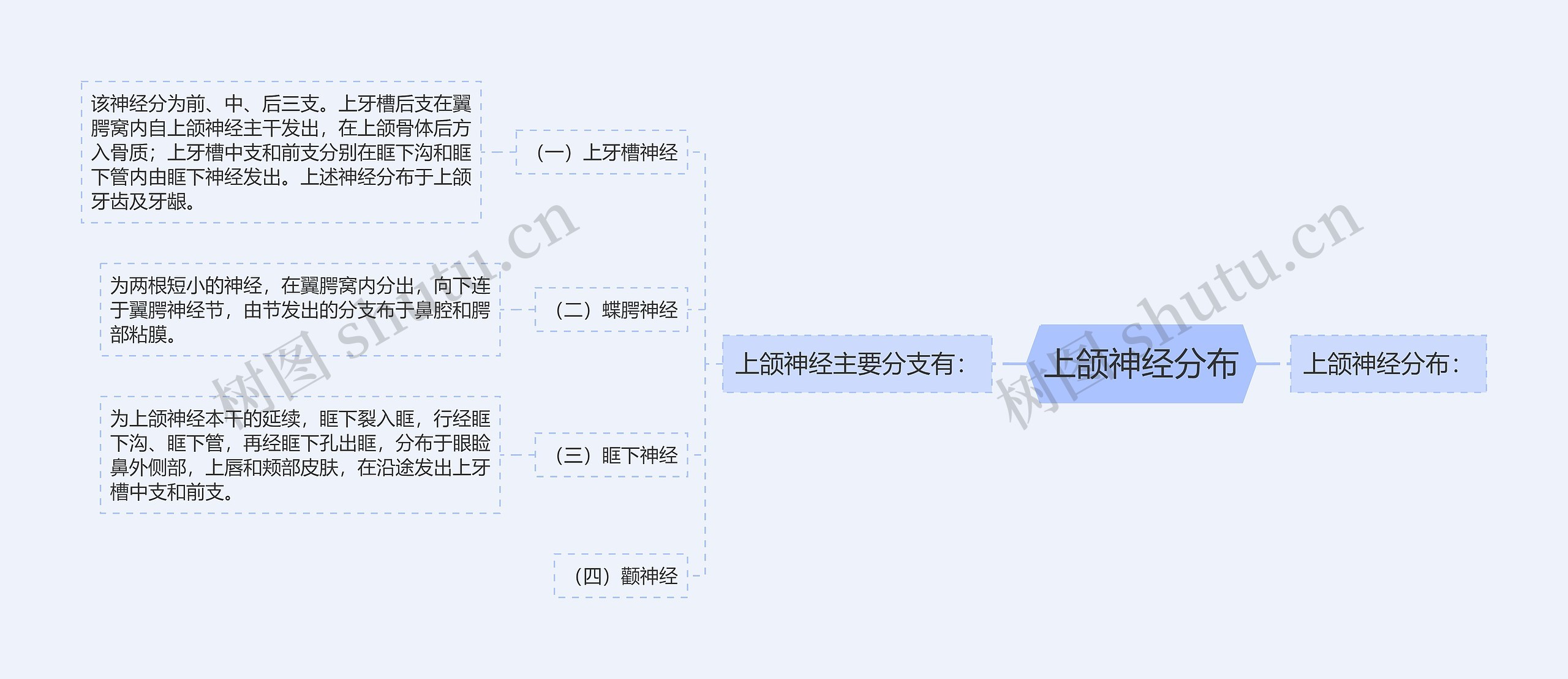 上颌神经分布 上颌神经分布
