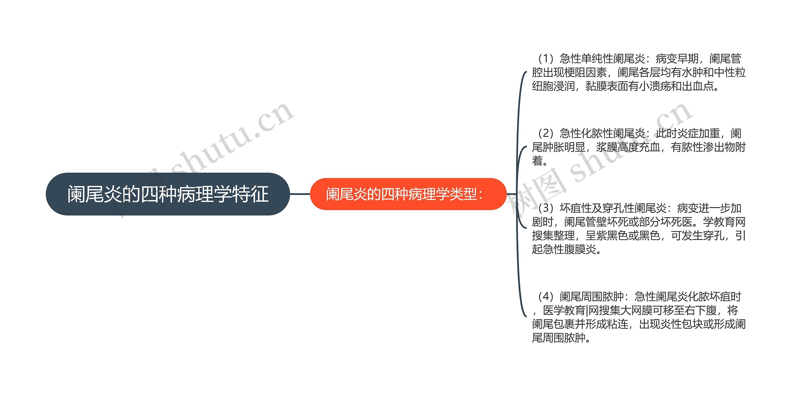 阑尾炎的四种病理学特征思维导图