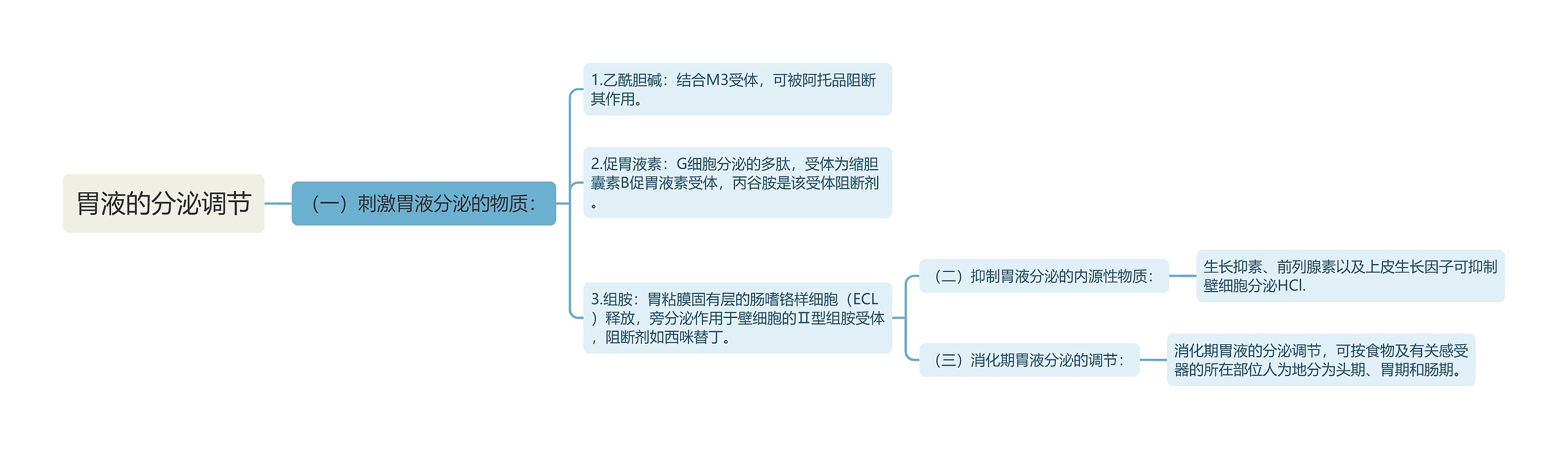 胃液的分泌调节思维导图