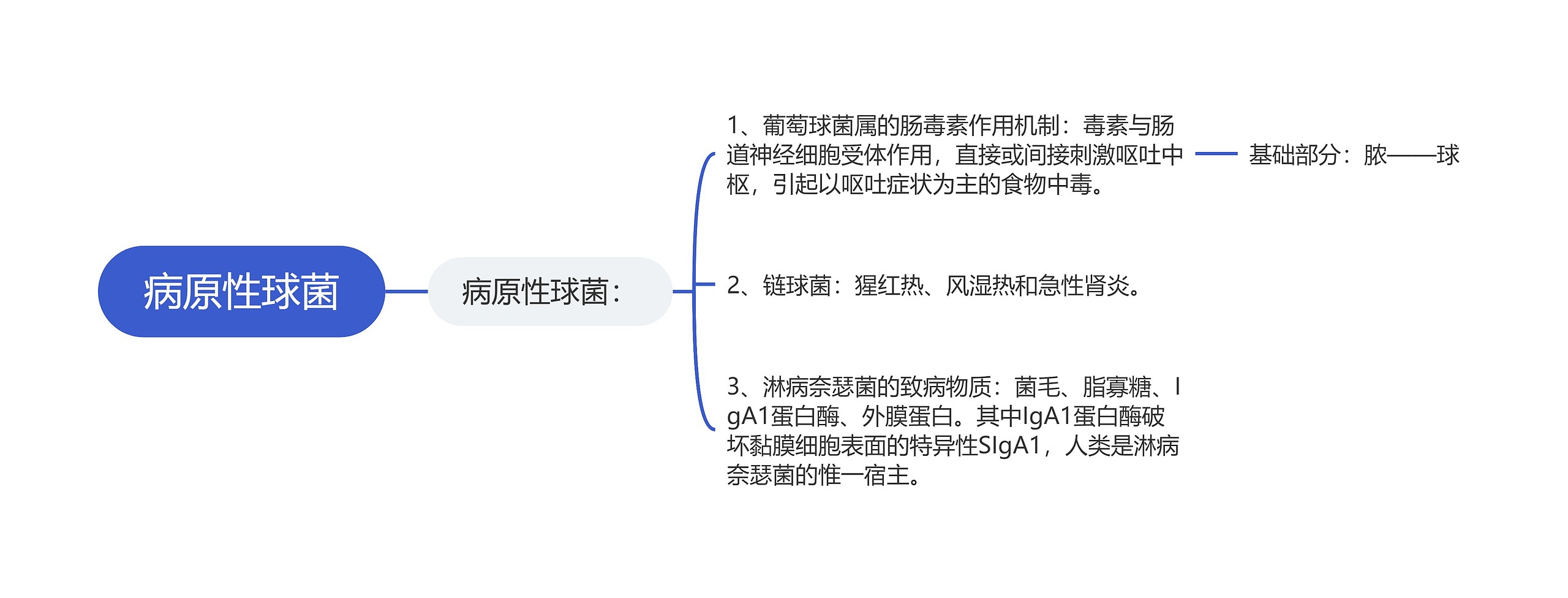 病原性球菌思维导图