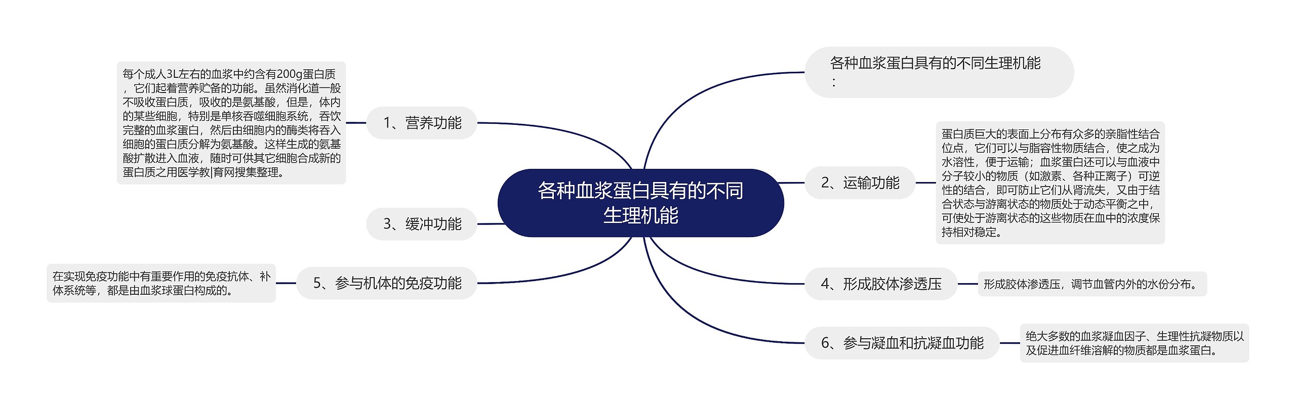 各种血浆蛋白具有的不同生理机能思维导图