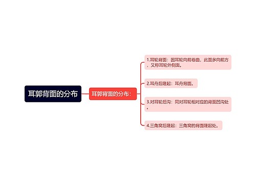 耳郭背面的分布