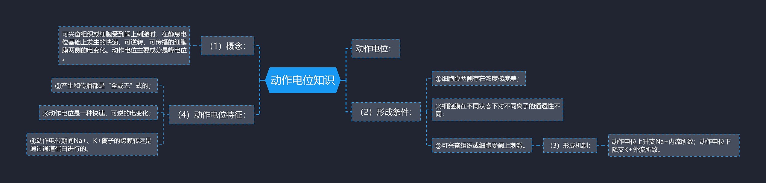 动作电位知识思维导图