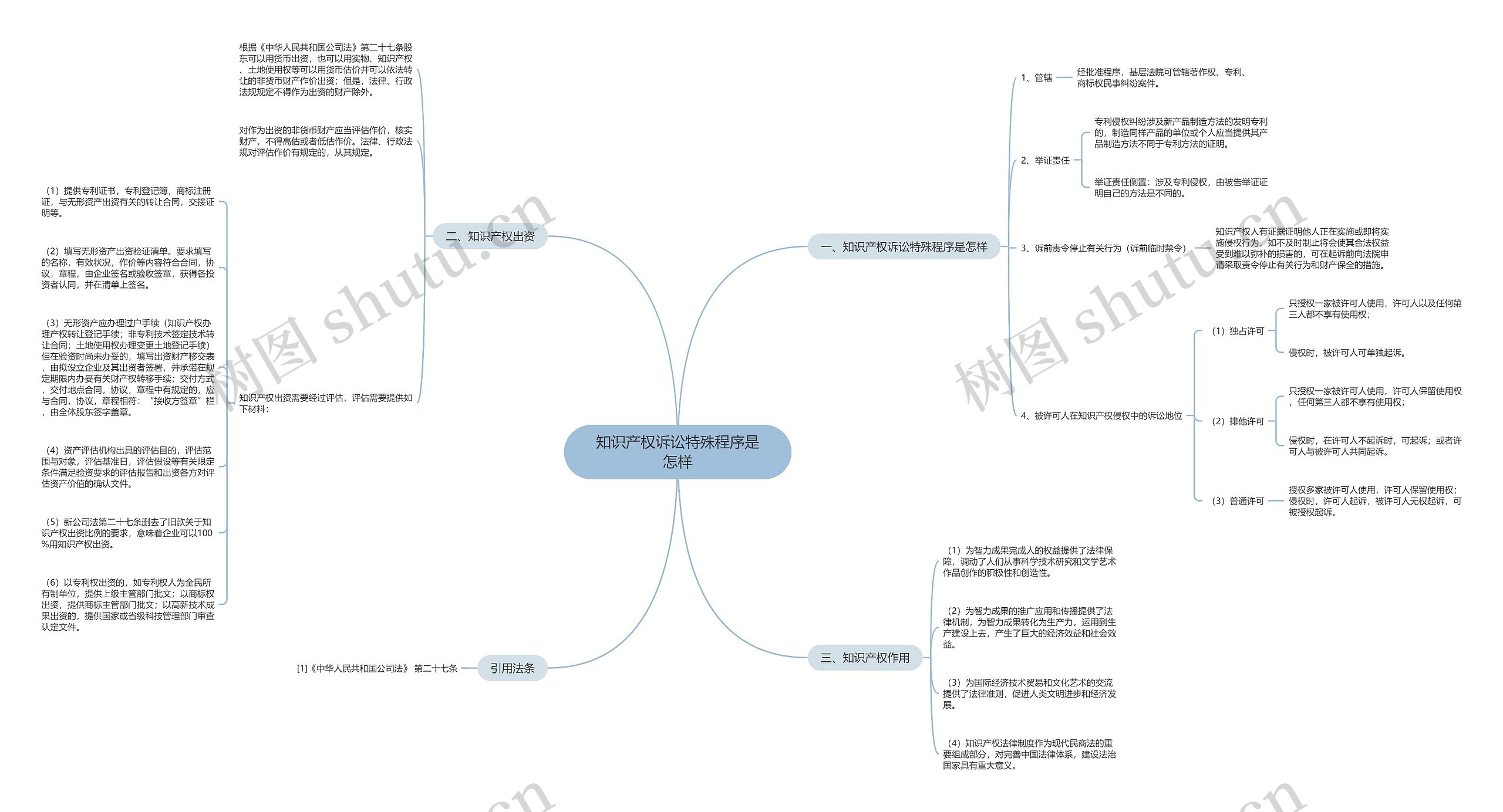 知识产权诉讼特殊程序是怎样思维导图
