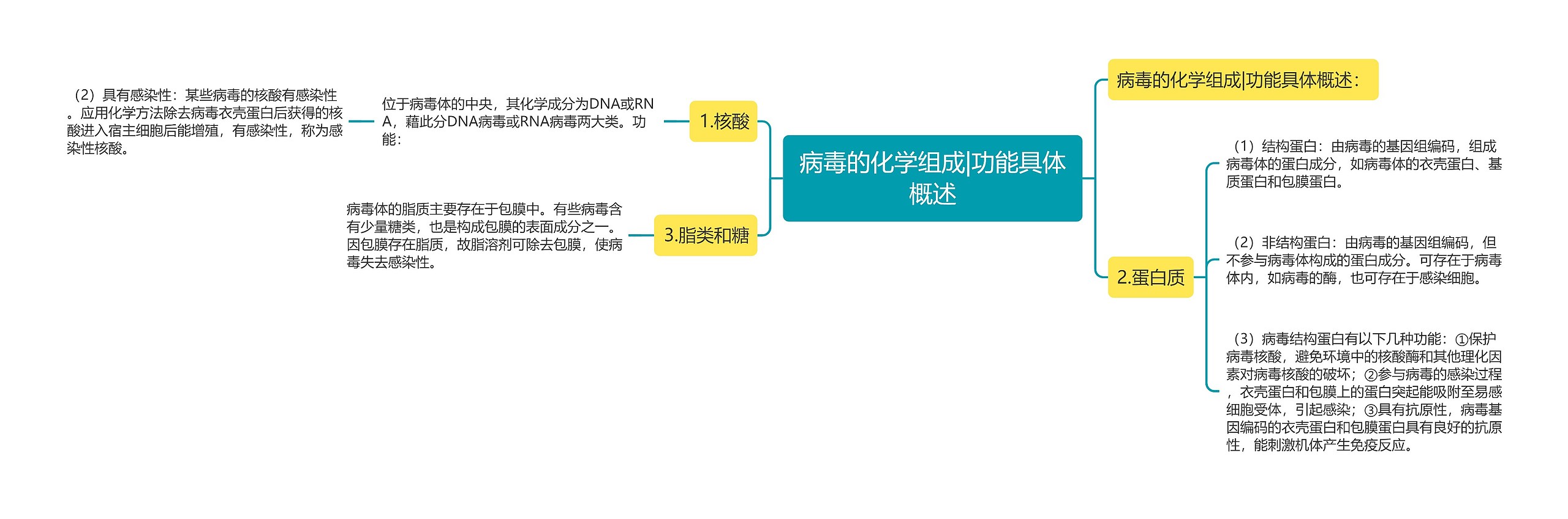 病毒的化学组成|功能具体概述