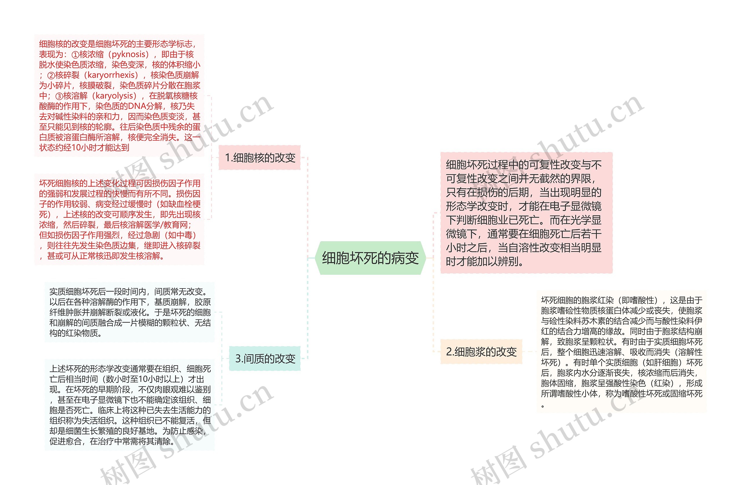 细胞坏死的病变思维导图