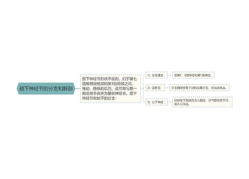 颈下神经节的分支和解剖