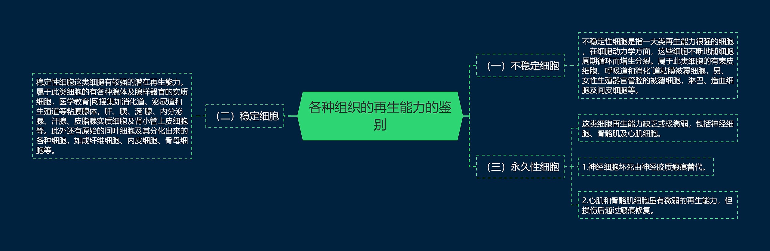 各种组织的再生能力的鉴别思维导图