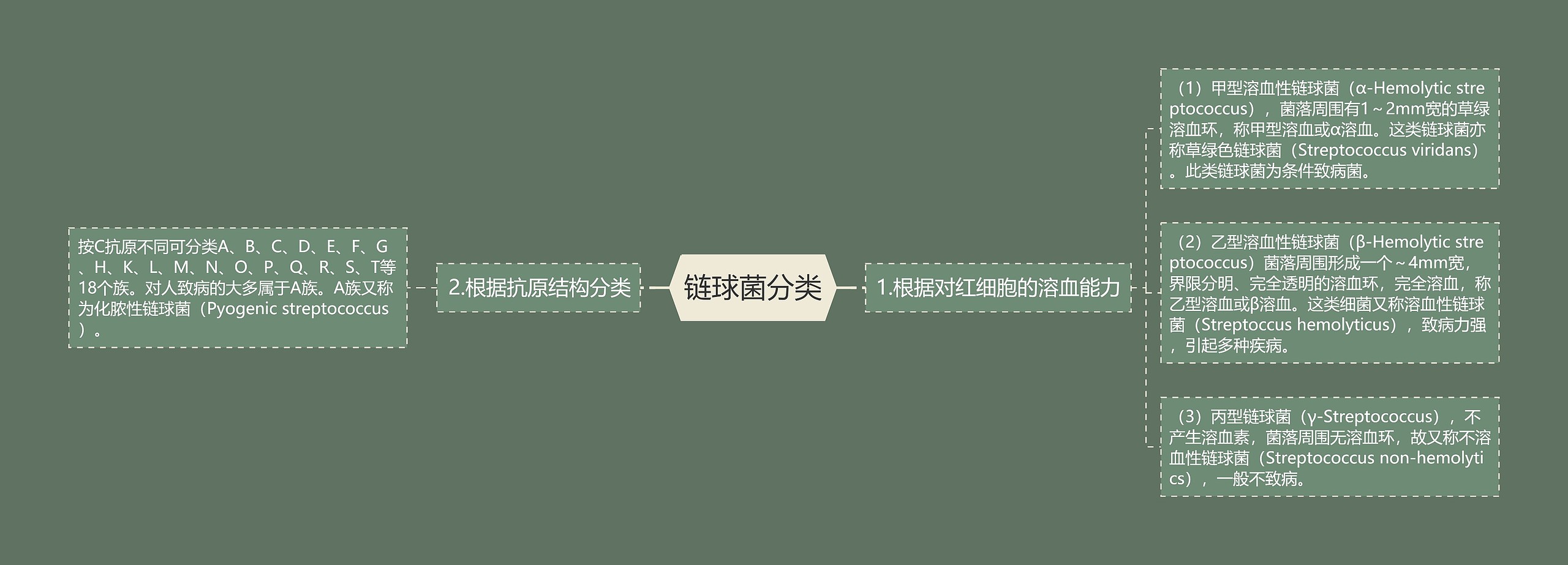 链球菌分类 链球菌分类