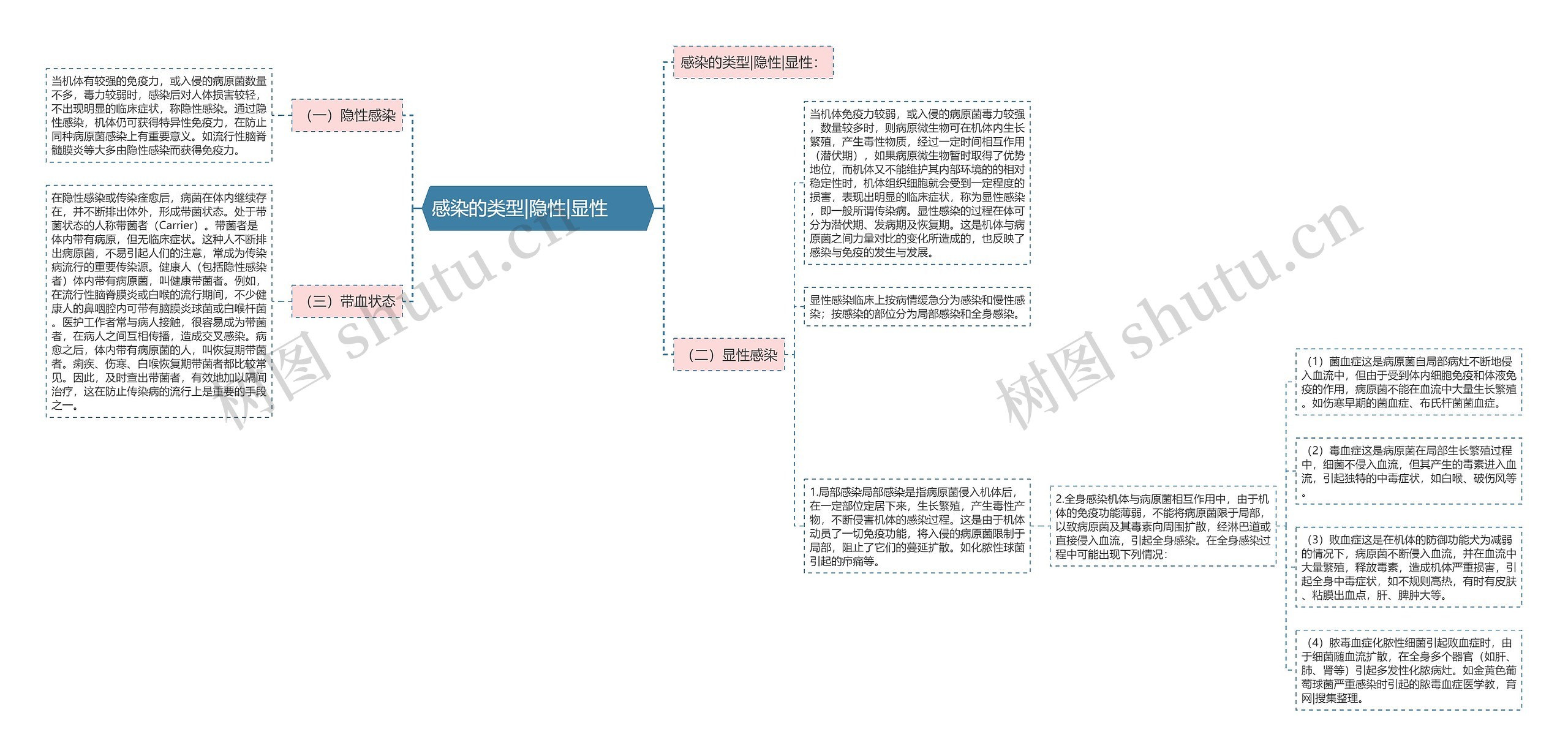 感染的类型|隐性|显性　　思维导图