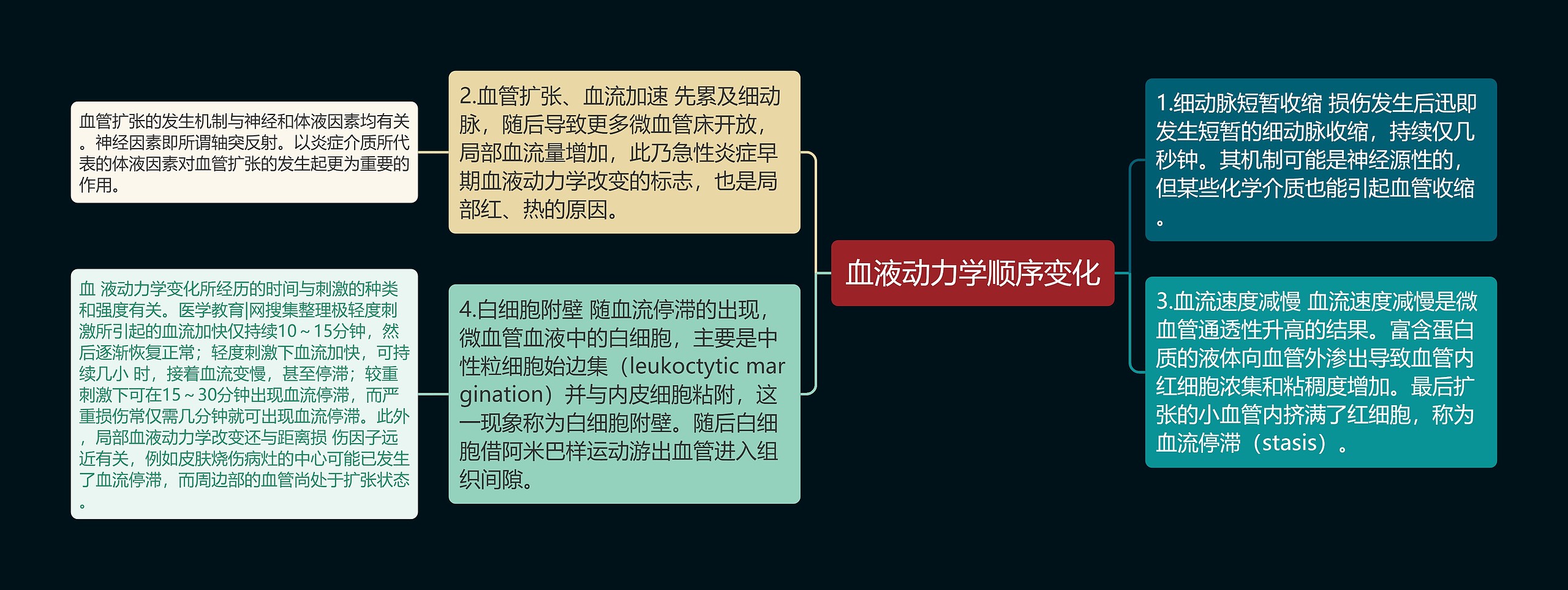 血液动力学顺序变化 血液动力学顺序变化