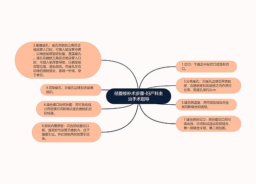 经腹修补术步骤-妇产科主治手术指导