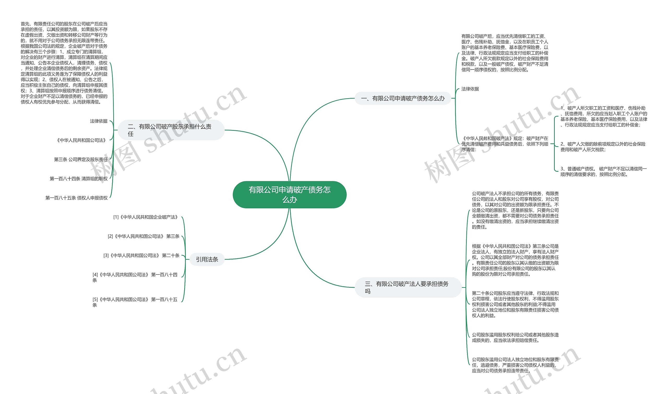 有限公司申请破产债务怎么办思维导图