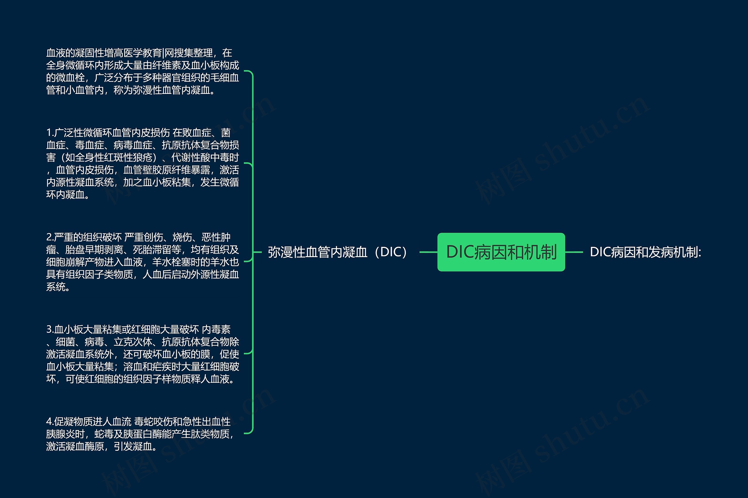 DIC病因和机制思维导图