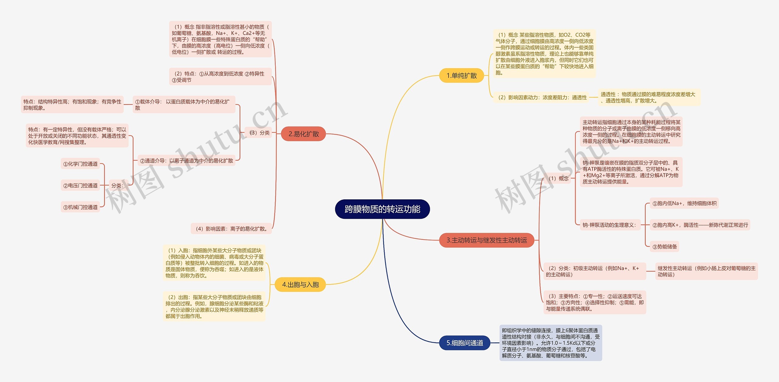 跨膜物质的转运功能思维导图