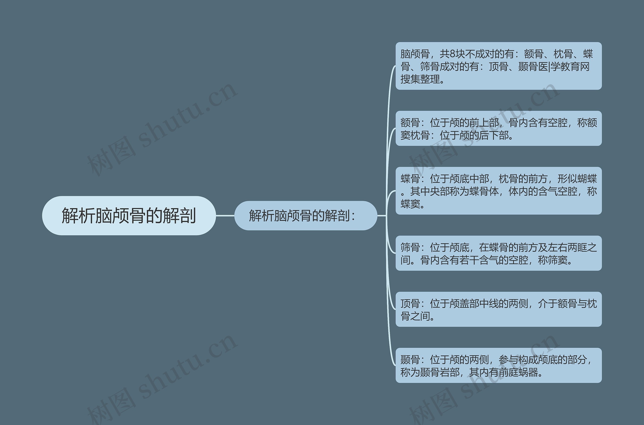 解析脑颅骨的解剖 解析脑颅骨的解剖