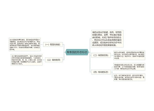 骨表面的形态标志