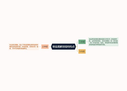 骨盆底解剖结构特点