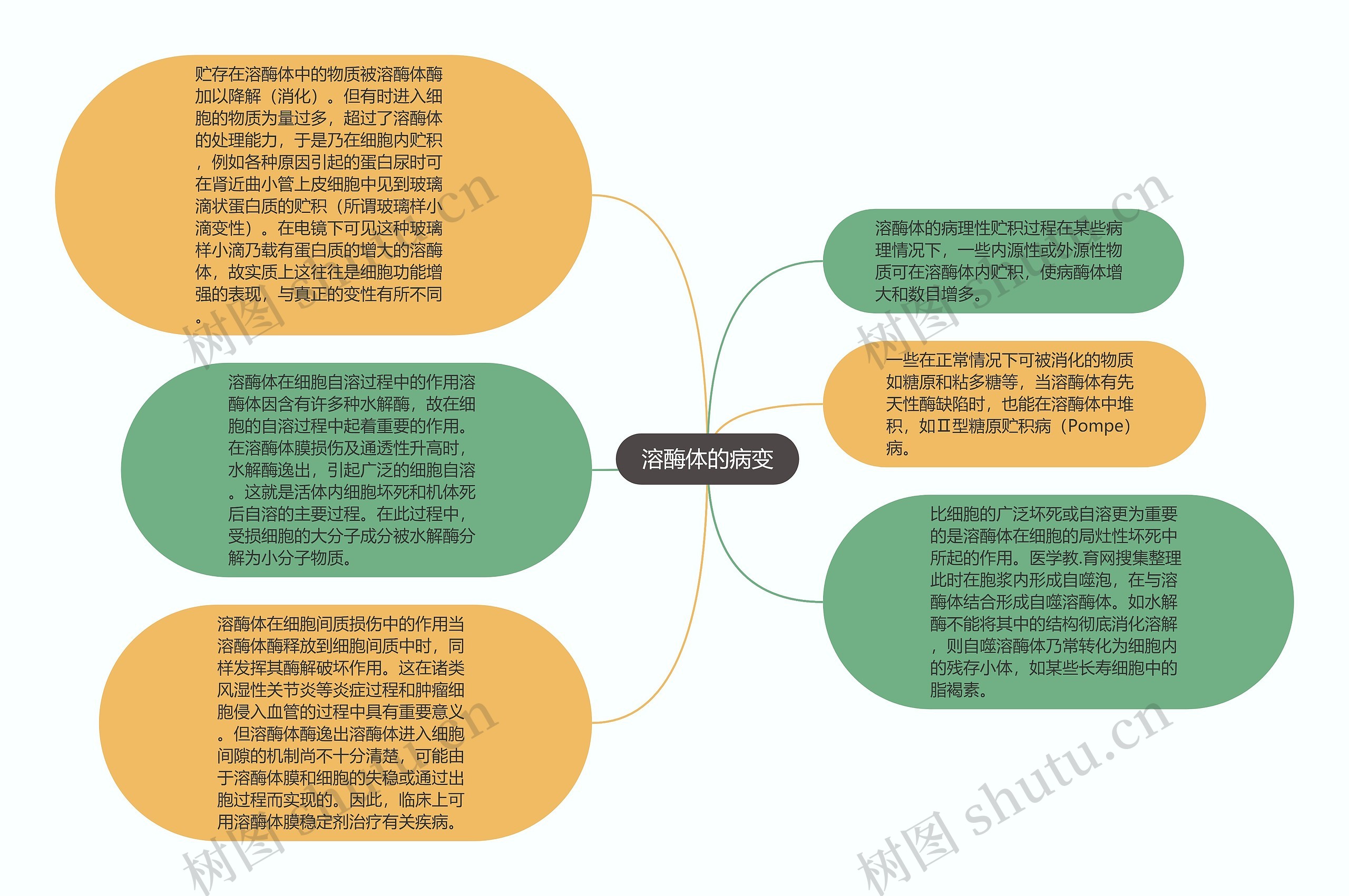 溶酶体的病变思维导图