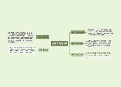 空肠弯曲菌性状