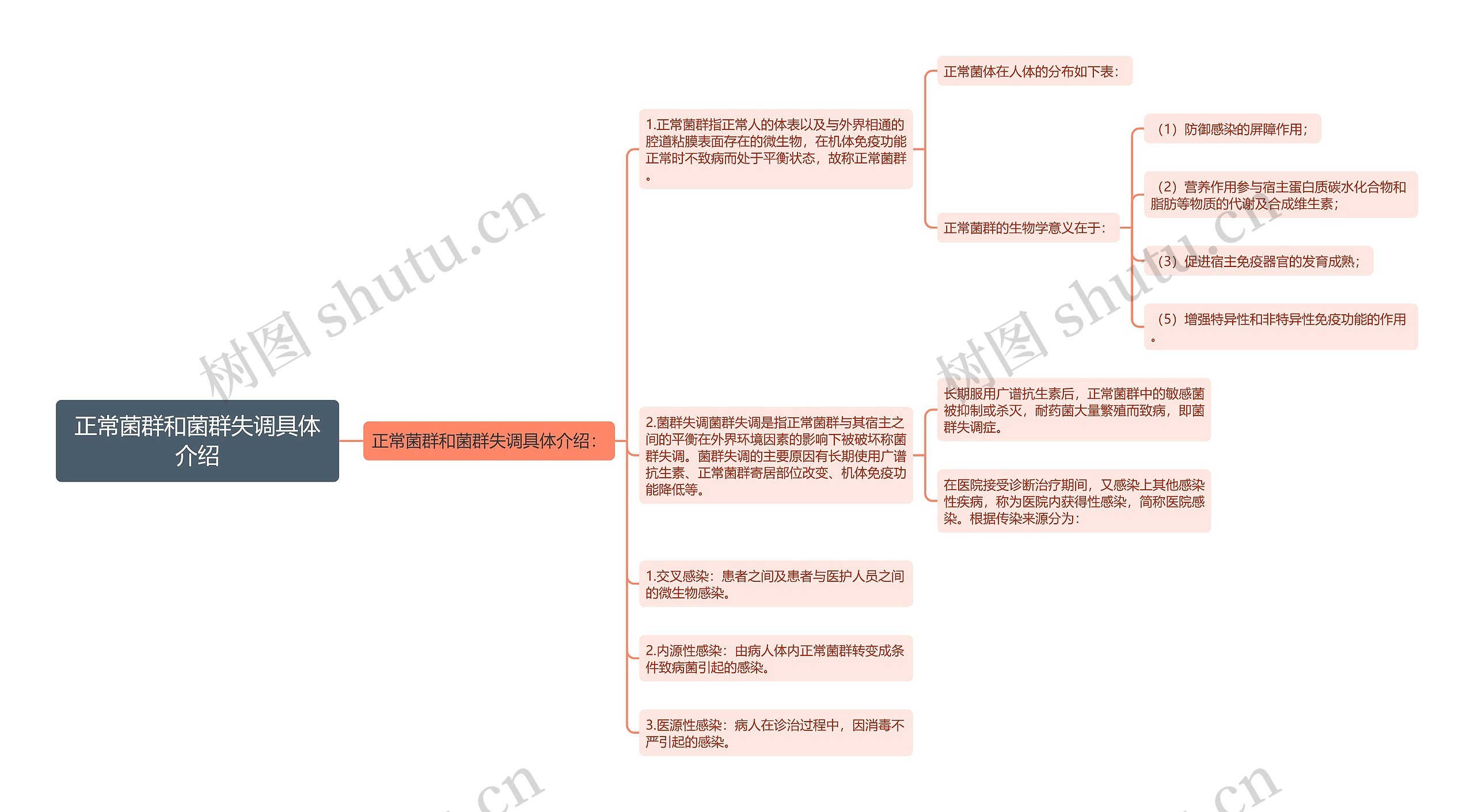 正常菌群和菌群失调具体介绍