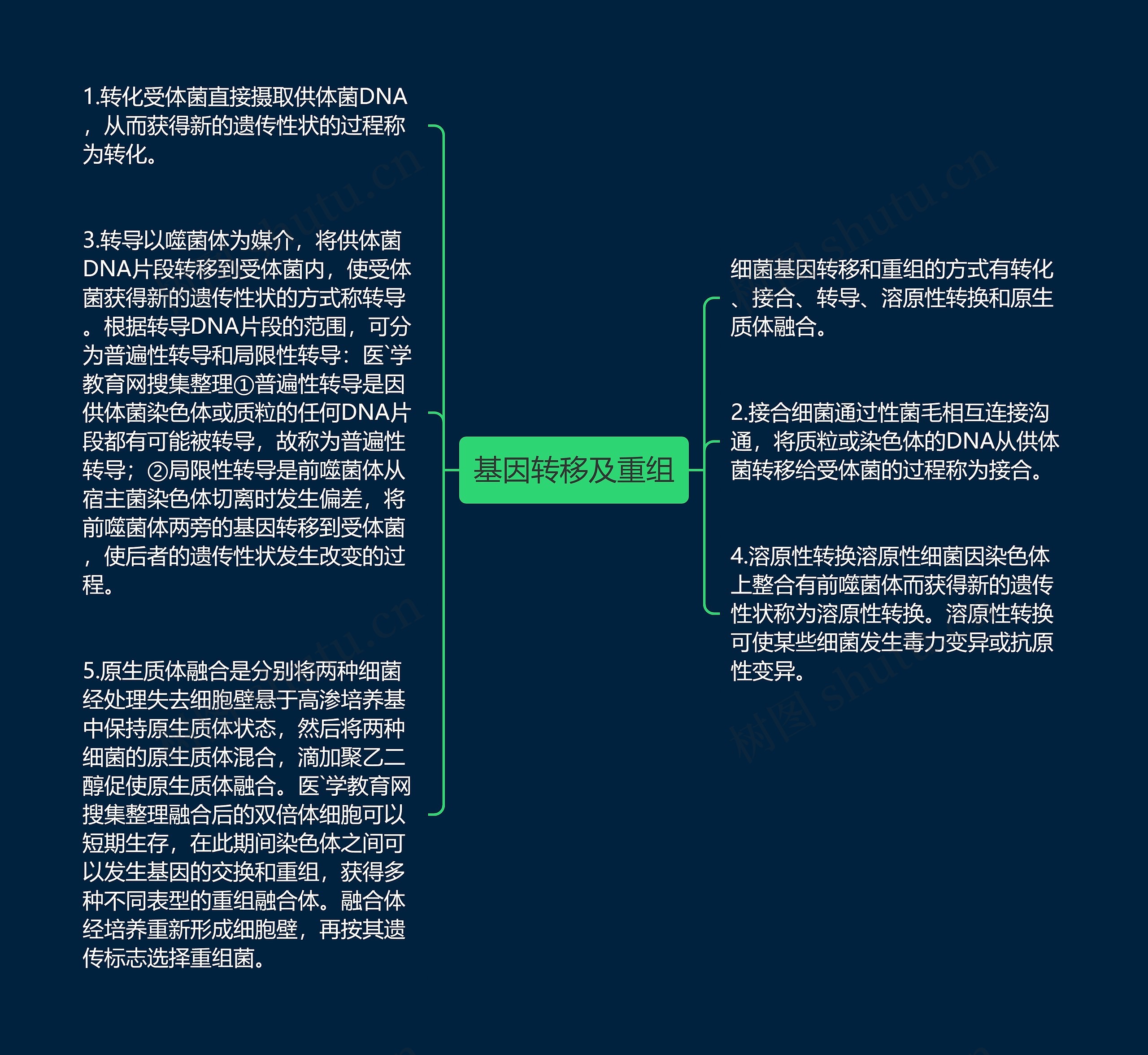 基因转移及重组