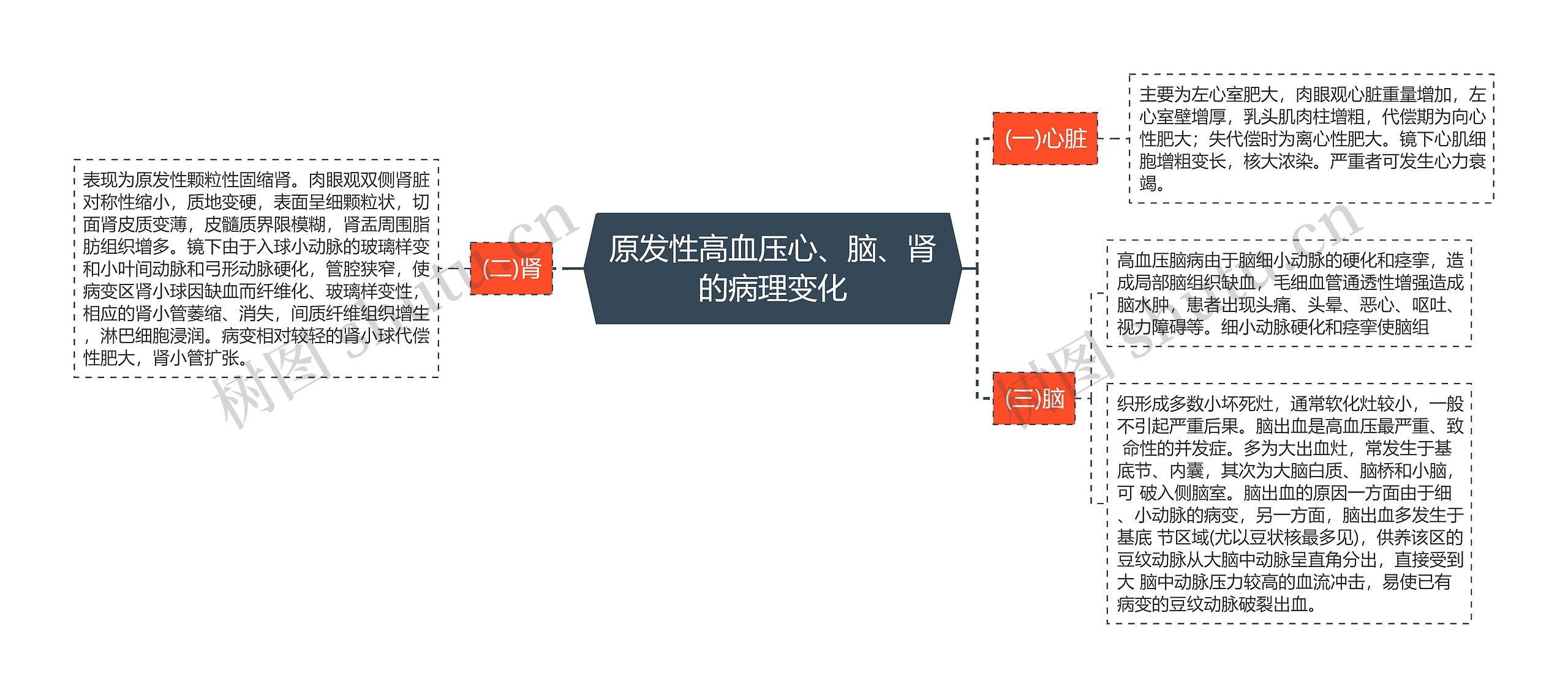 原发性高血压心、脑、肾的病理变化