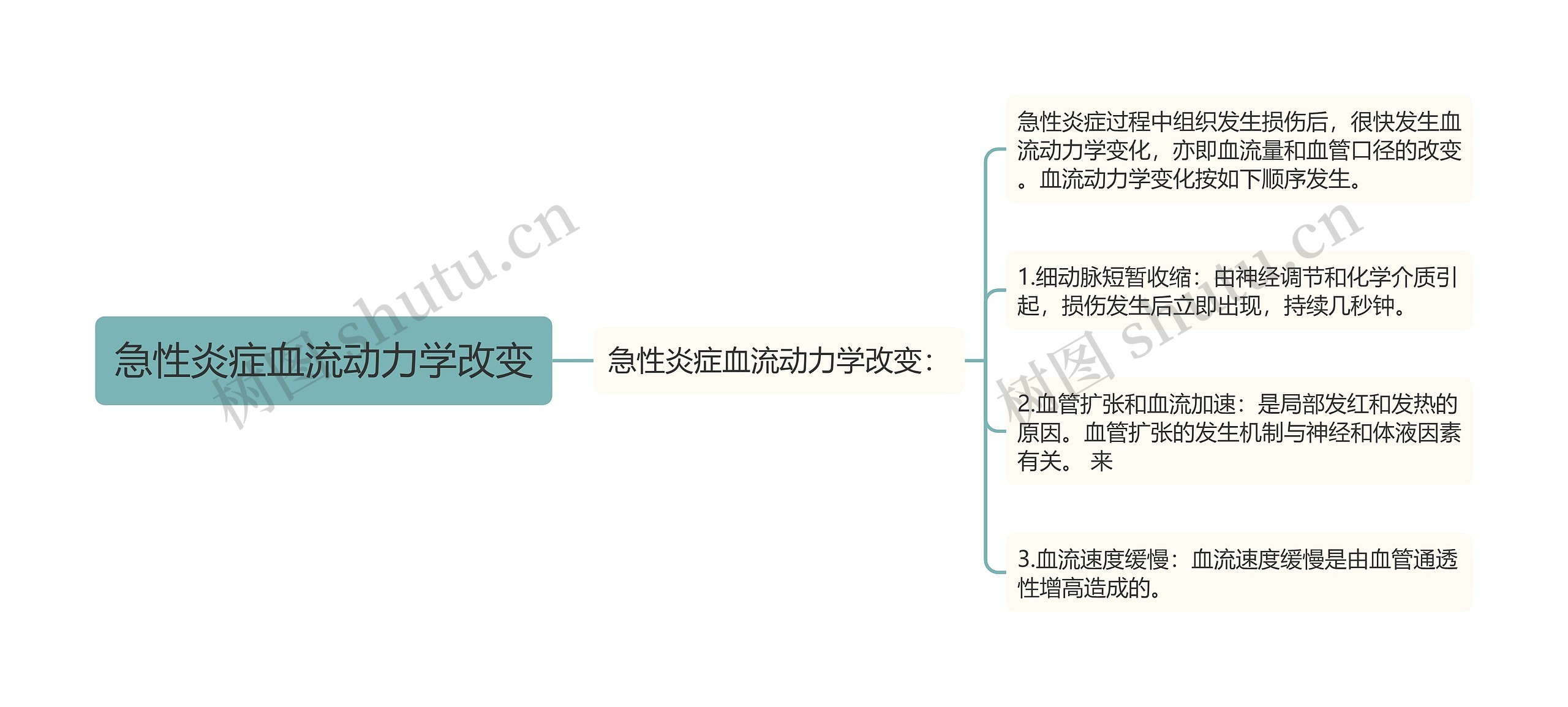 急性炎症血流动力学改变思维导图