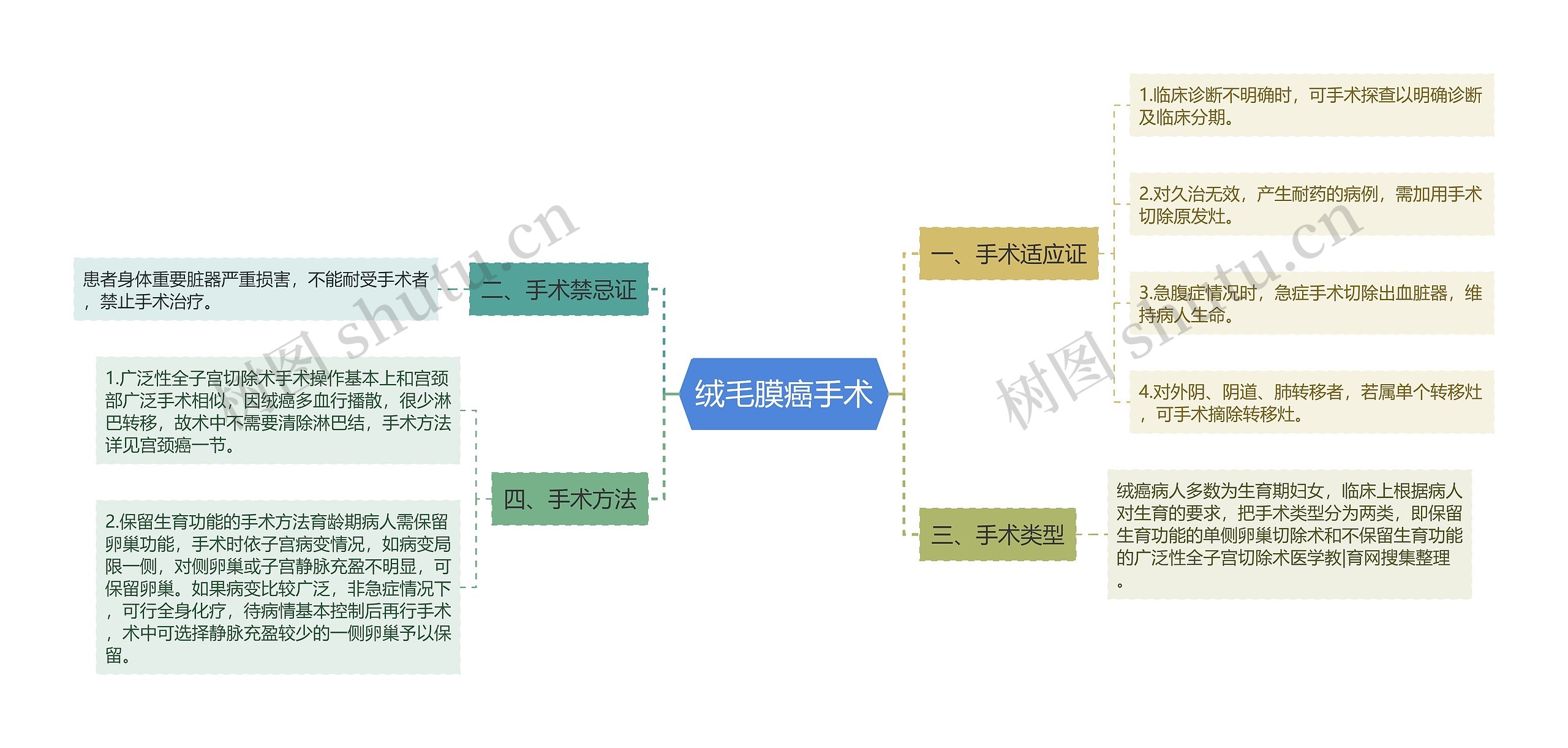 绒毛膜癌手术思维导图