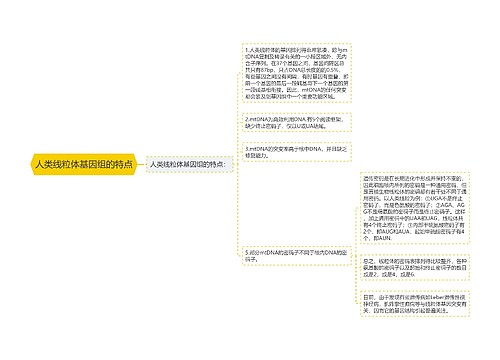 人类线粒体基因组的特点