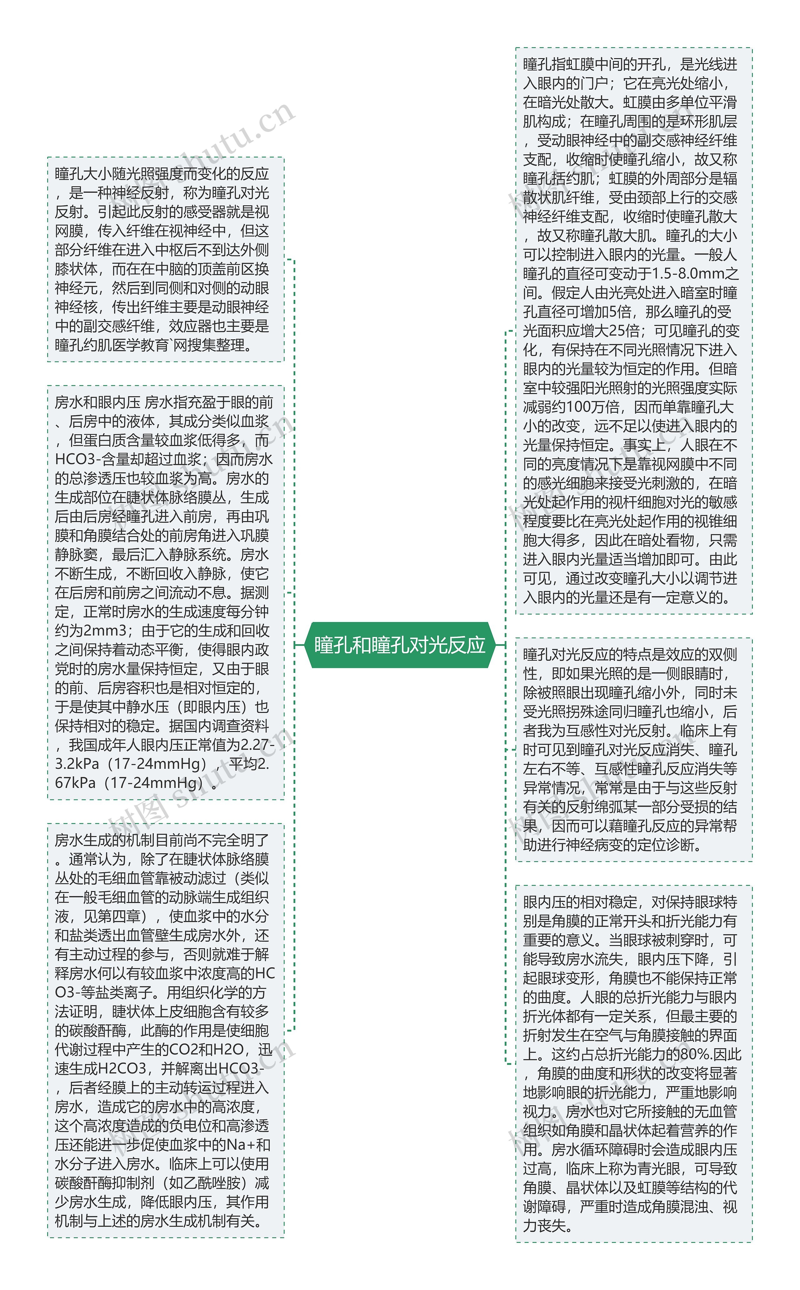 瞳孔和瞳孔对光反应思维导图