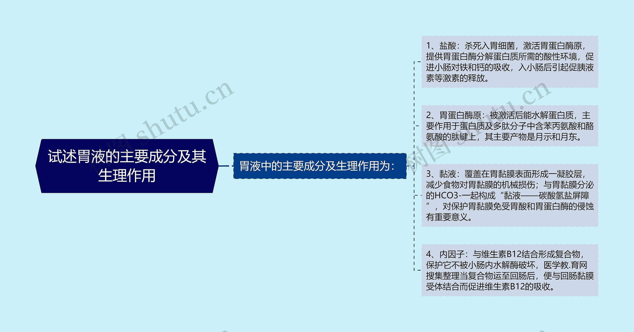 试述胃液的主要成分及其生理作用