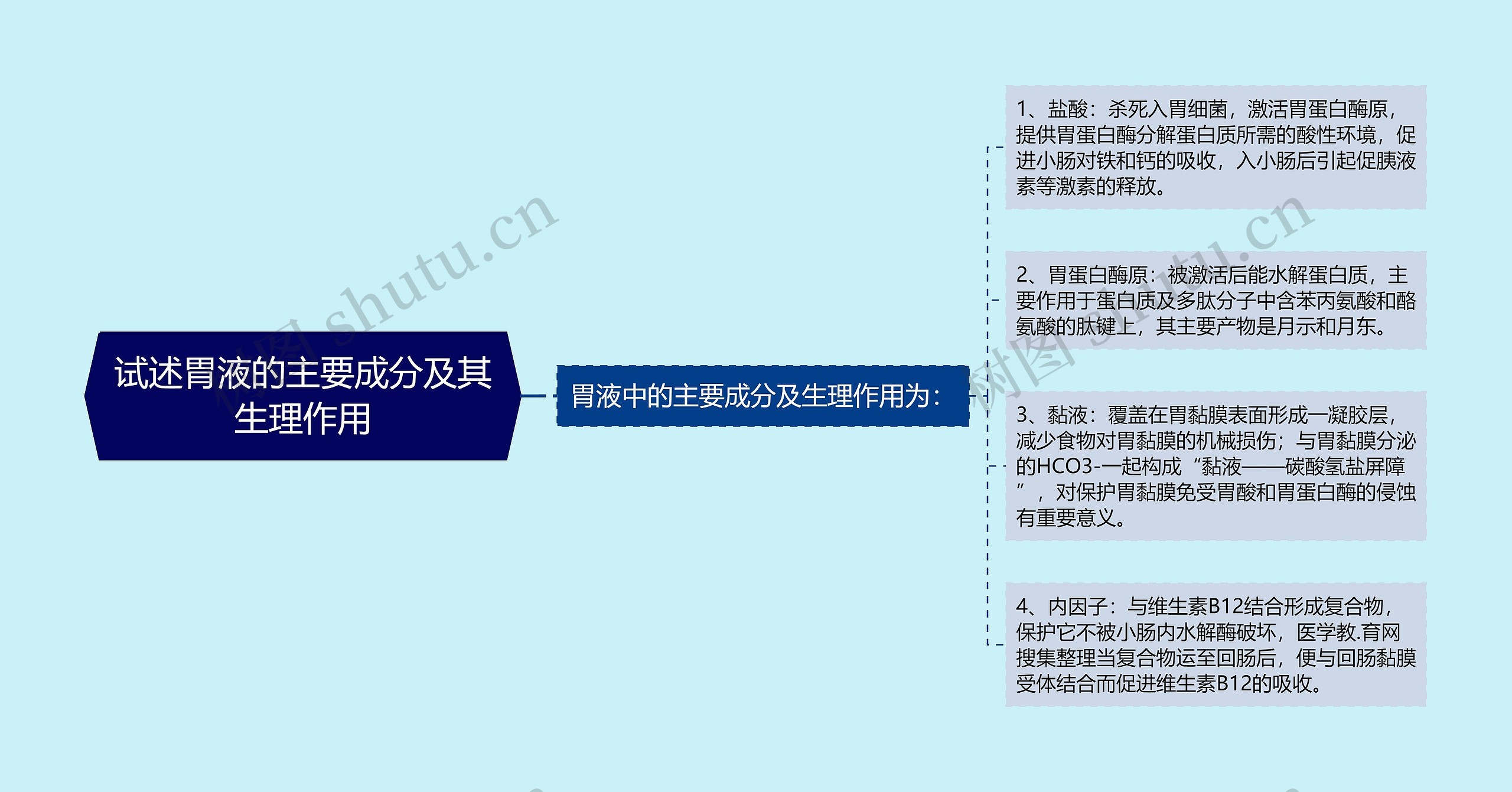 试述胃液的主要成分及其生理作用思维导图