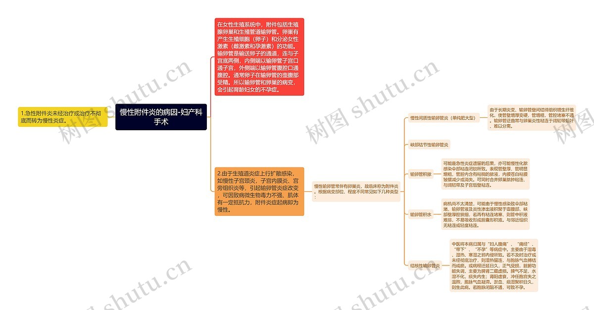 慢性附件炎的病因-妇产科手术思维导图_编号p7543118-TreeMind树图