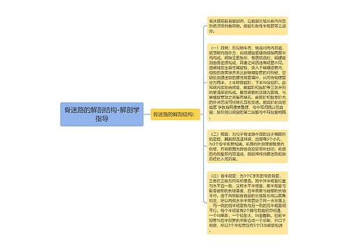 骨迷路的解剖结构-解剖学指导