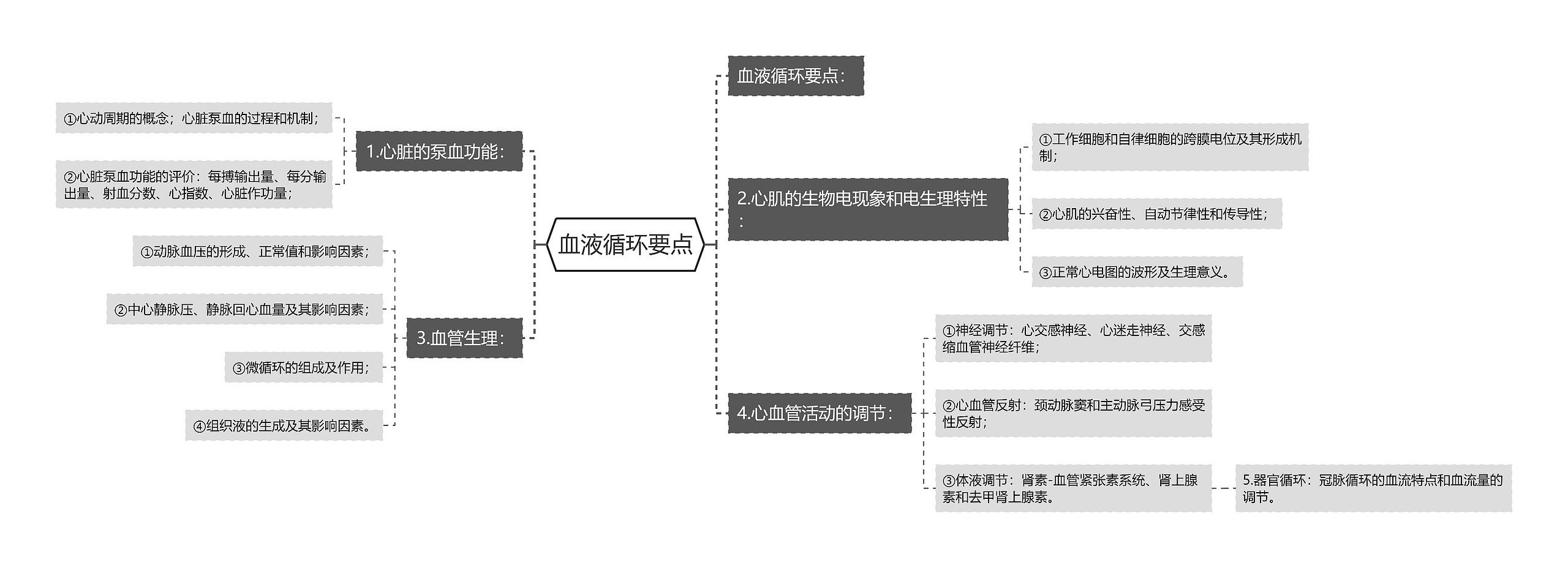 血液循环要点