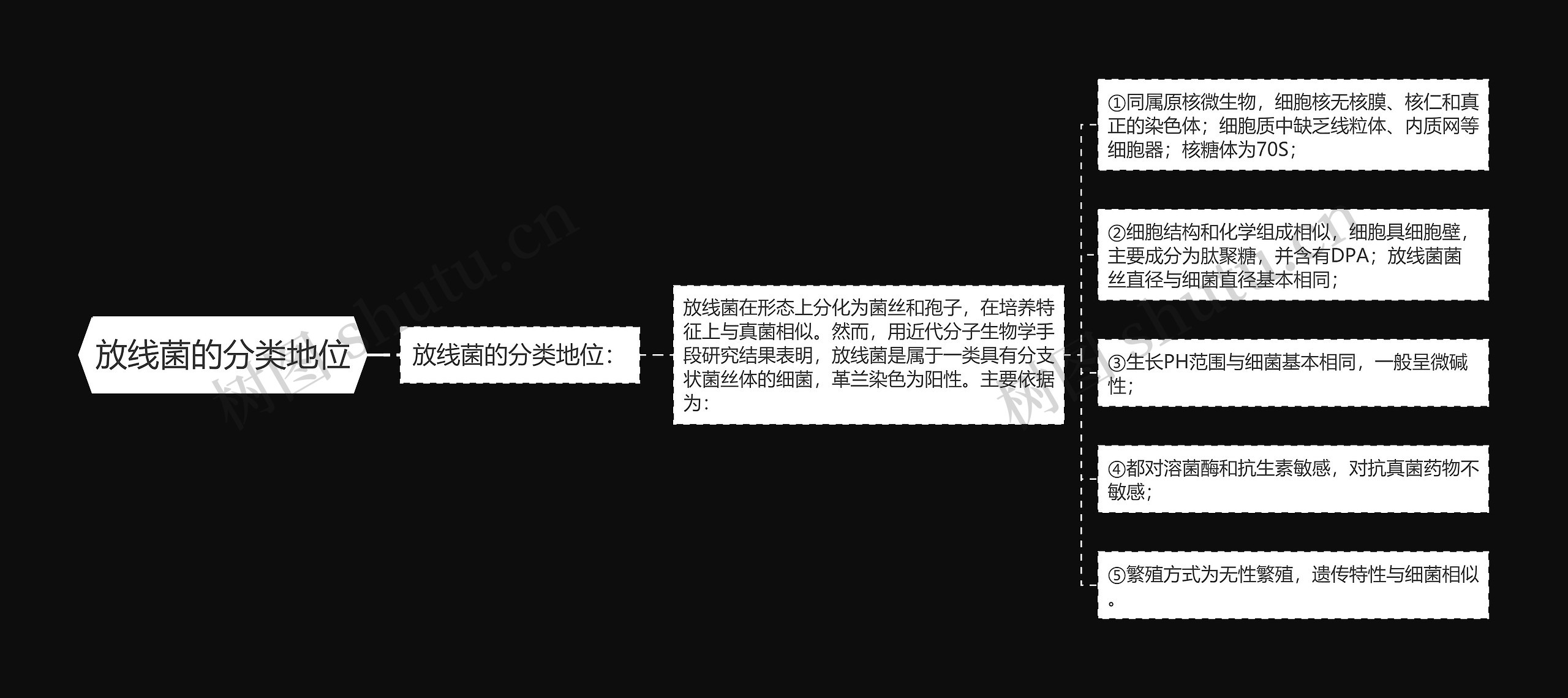 放线菌的分类地位