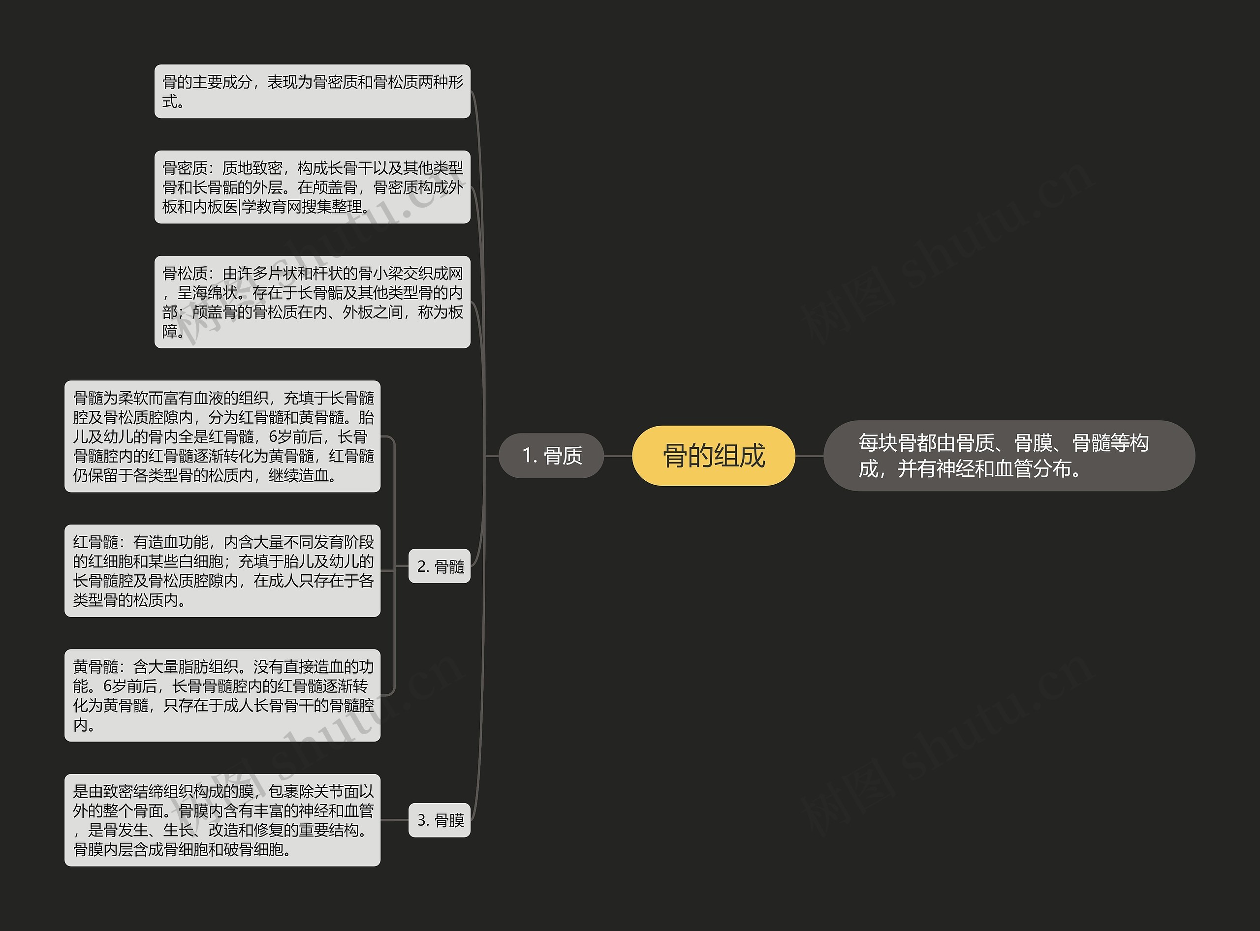 骨的组成 骨的组成