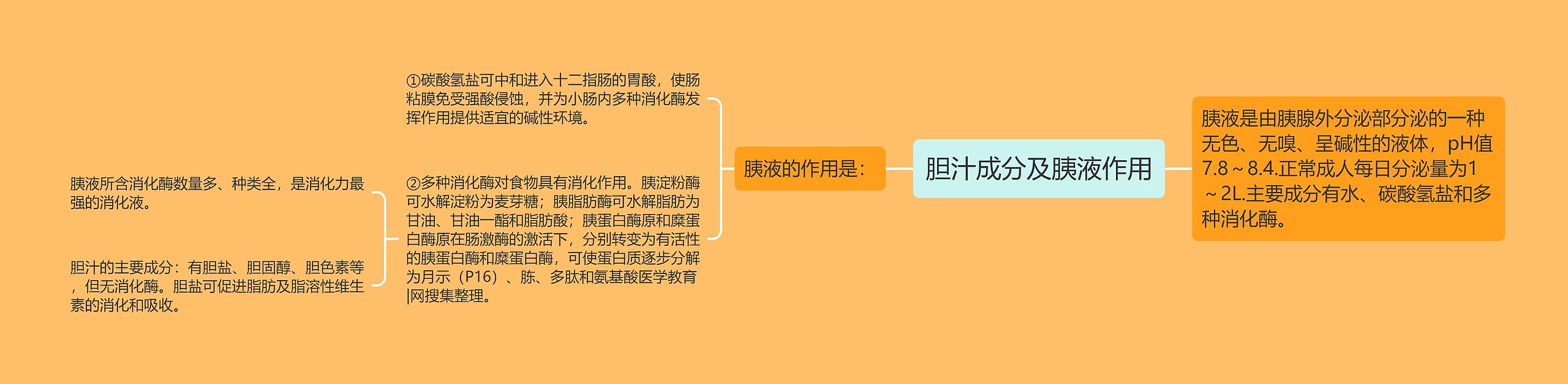 胆汁成分及胰液作用