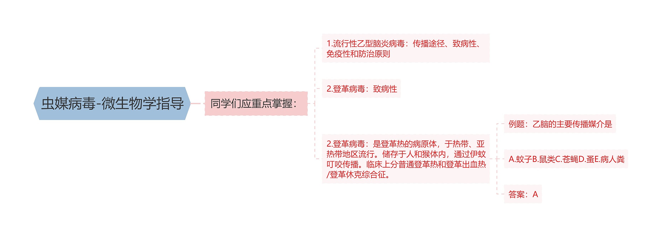 虫媒病毒-微生物学指导思维导图