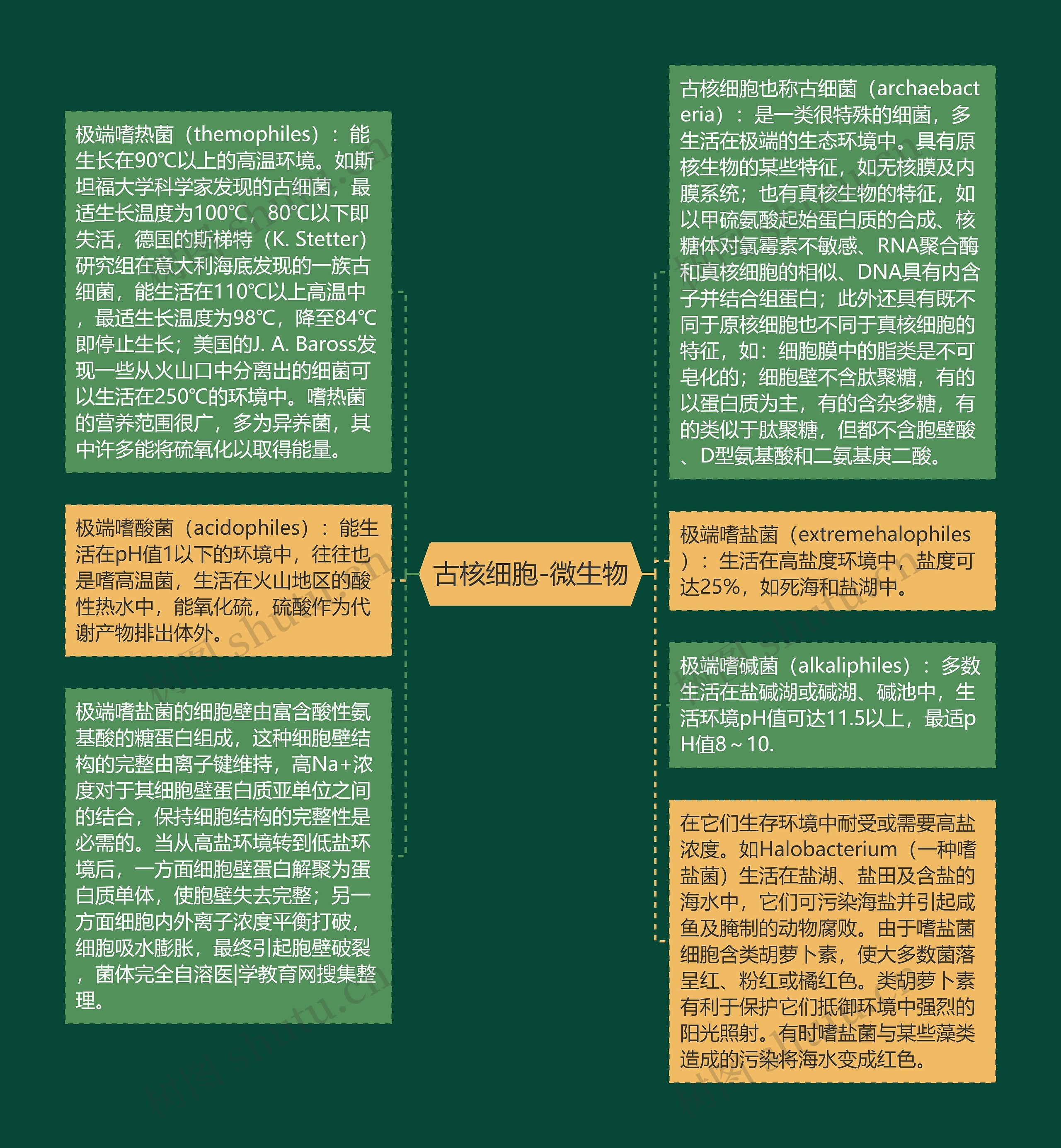 古核细胞-微生物