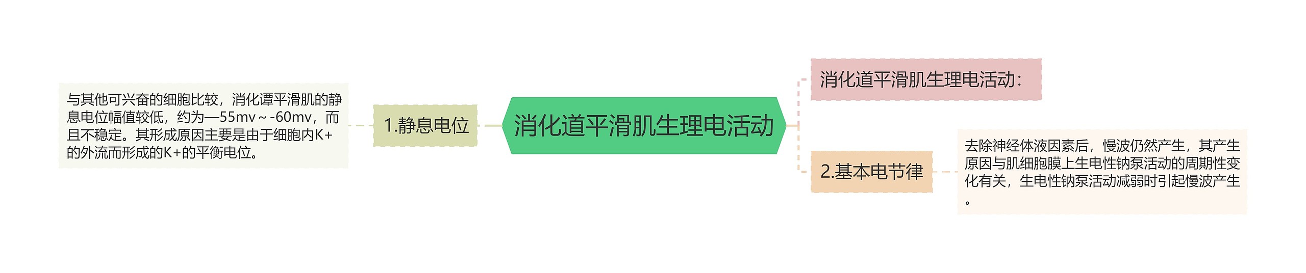 消化道平滑肌生理电活动思维导图