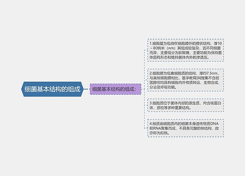 细菌基本结构的组成