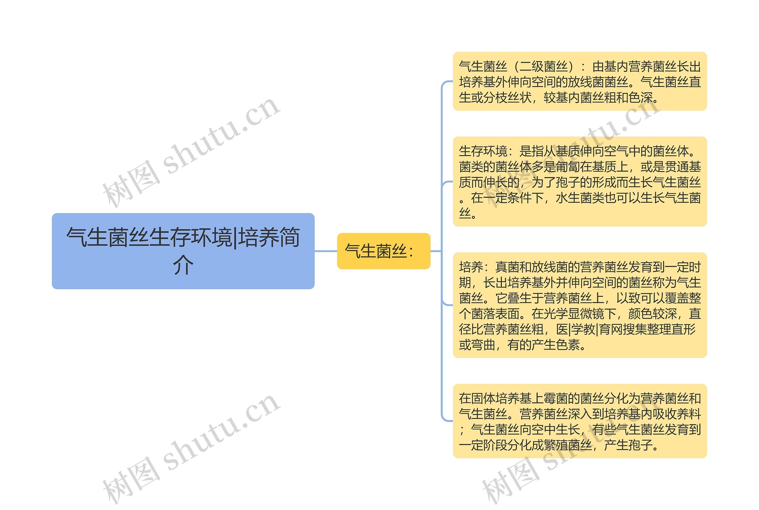 气生菌丝生存环境|培养简介思维导图