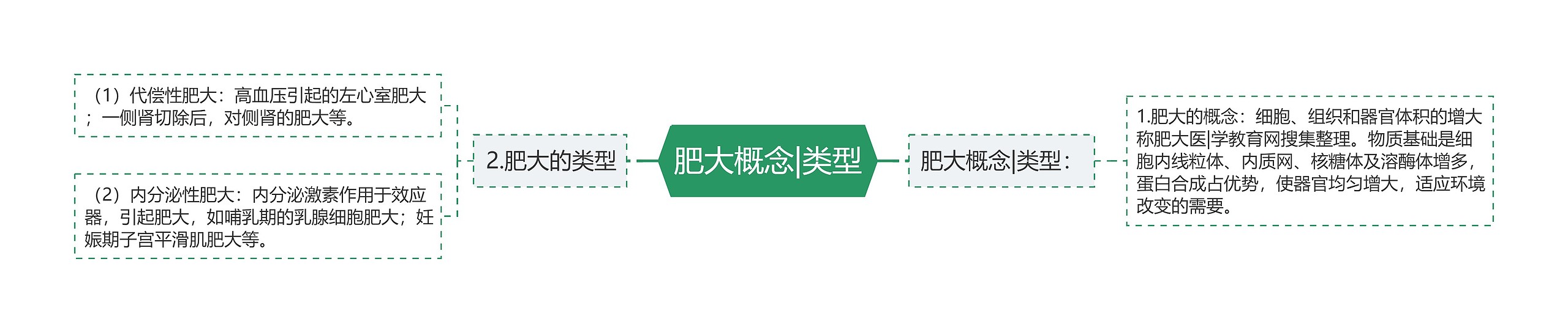 肥大概念|类型 肥大概念|类型