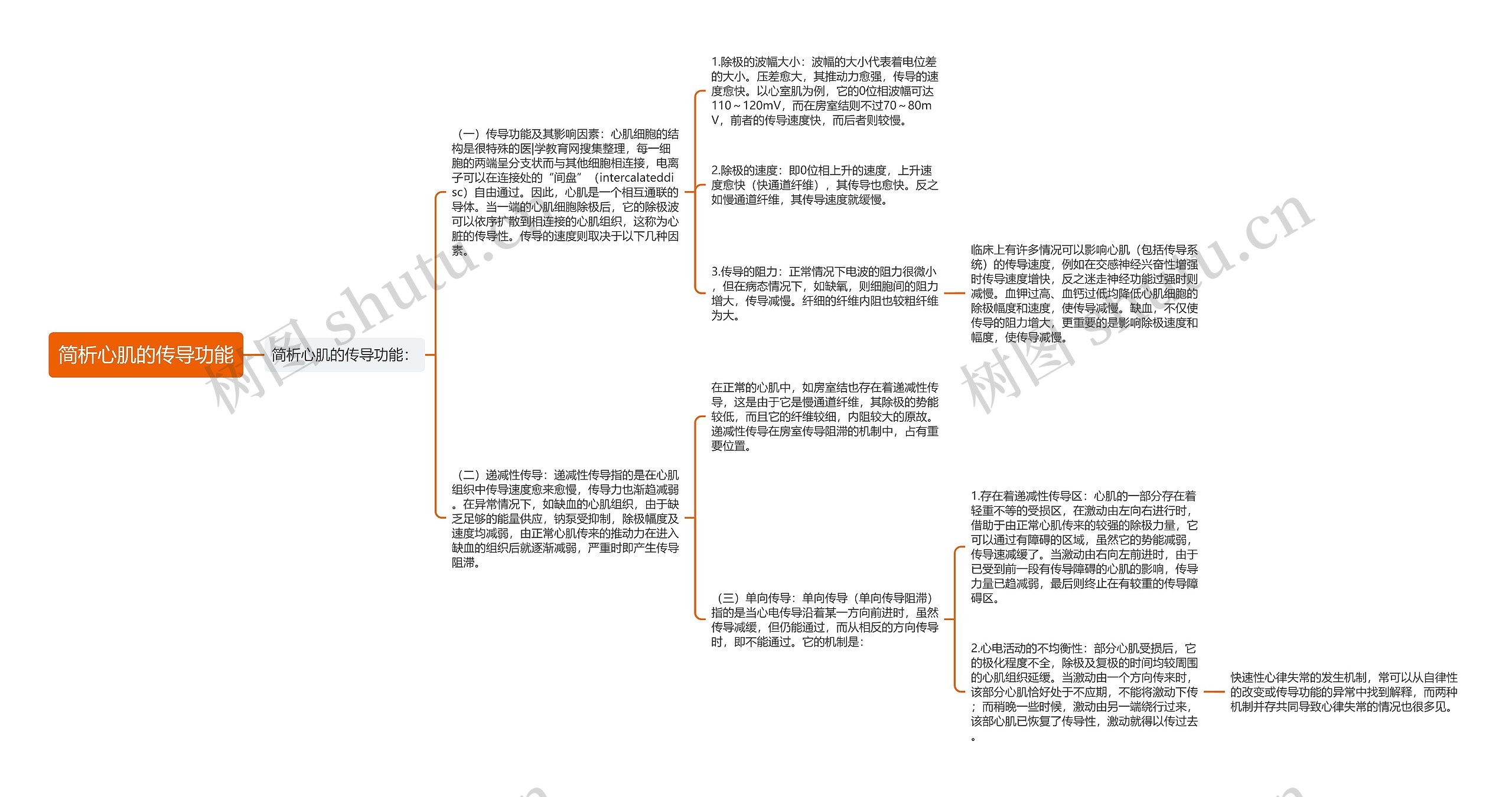 简析心肌的传导功能思维导图