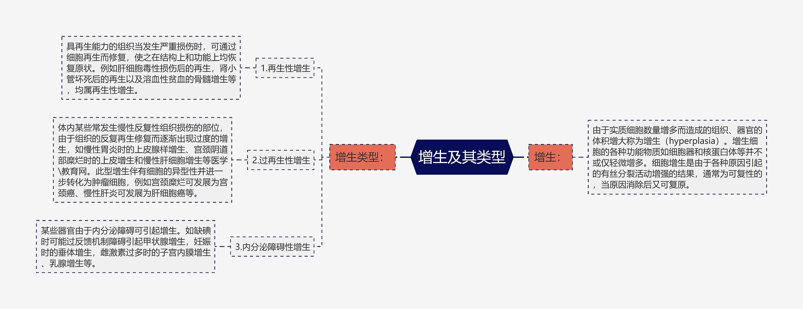 增生及其类型思维导图