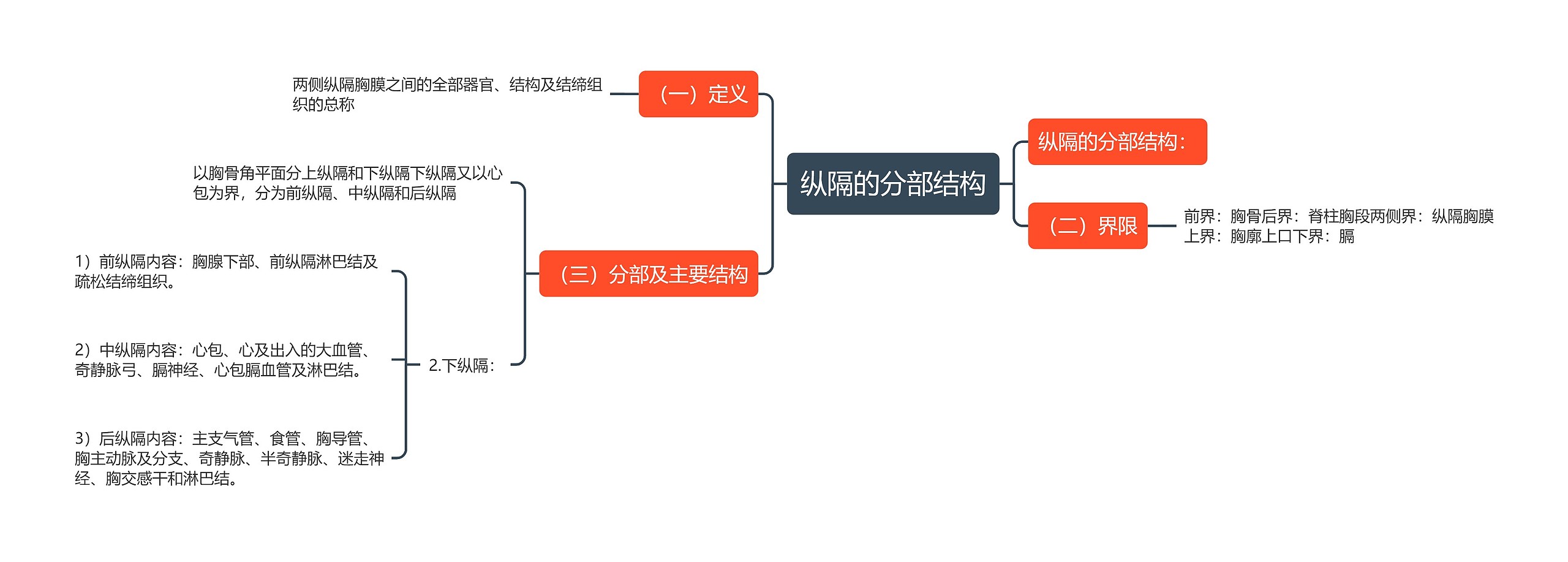 纵隔的分部结构