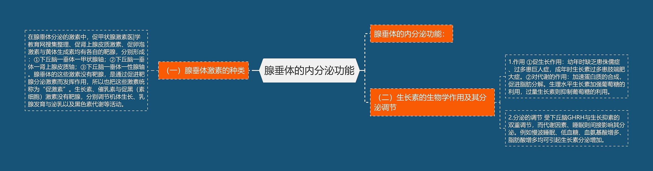 腺垂体的内分泌功能 腺垂体的内分泌功能